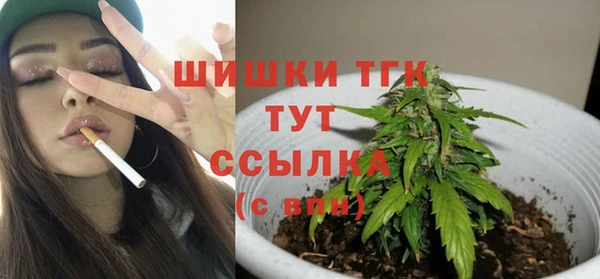 apvp Аркадак