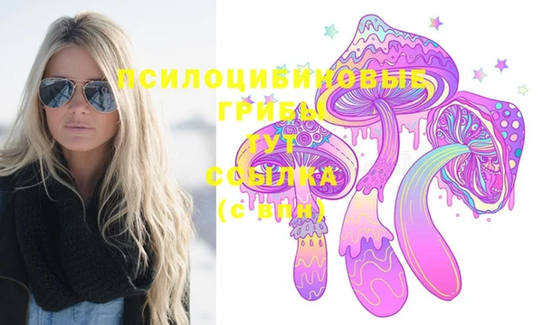 apvp Аркадак