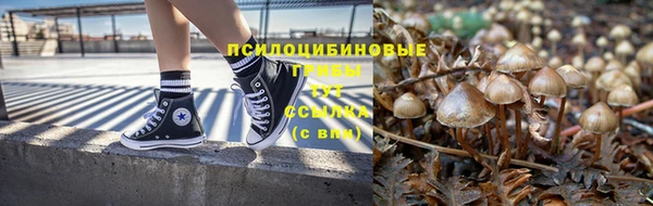 apvp Аркадак