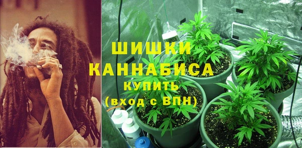 apvp Аркадак