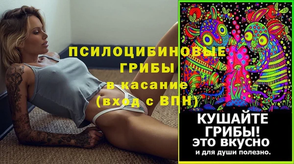 тгк Армянск