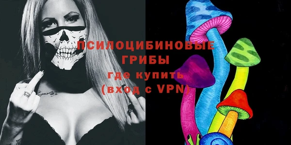 тгк Армянск