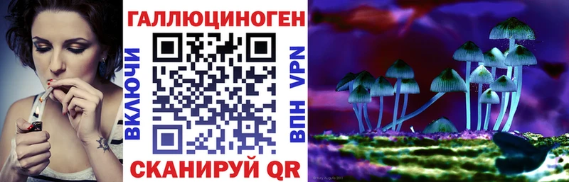 Галлюциногенные грибы Cubensis  Мантурово 